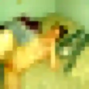 Photo privée de Noemi, 21 ans à Dompierre-les-Ormes - rencontre sans lendemain