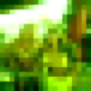 Contacte Alya, 27 ans à Domptin en t'inscrivant