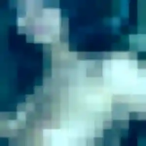 Zara (29 ans) à Don cherche une rencontre maintenant