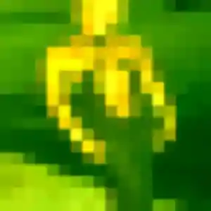 Alissa de Donnemain-Saint-Mamès, 32 ans - plan cul sans prise de tête