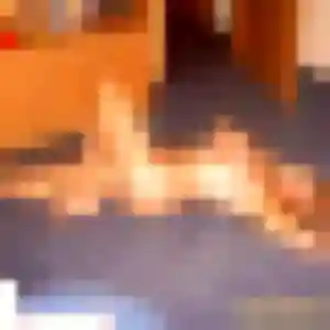 Flore, fille de 32 ans veut plan cul à Douvrin