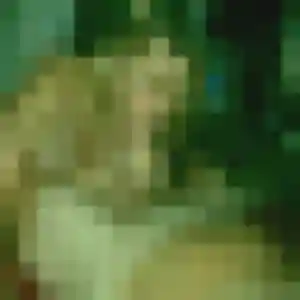 Photo perso de Daphne, 39 ans à Dracy-Saint-Loup - rencontre coquine