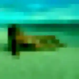 Rencontre Nour, 34 ans à Dry gratuitement