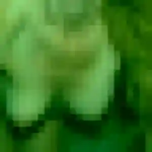 Rejoins Clarisse, 32 ans à Durtol gratuitement