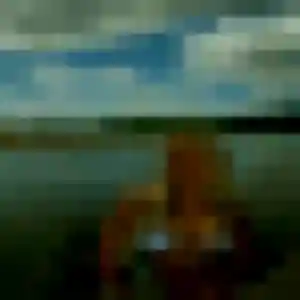 Photo de Myla à Duttlenheim (24 ans) - plan cul sans inscription