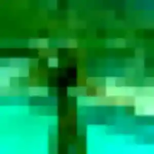 Naila, 31 ans, cherche un plan cul à Ecquevilly