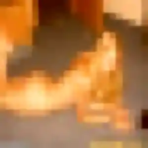 Tessa, fille de 22 ans propose plan cul à Écrosnes