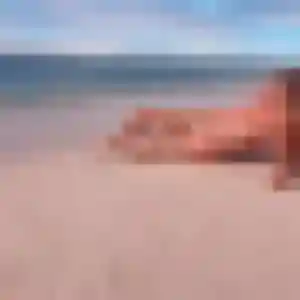 Photo perso de Nour, 23 ans à Éloyes - rencontre coquine