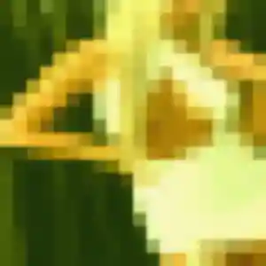 Charmante Zara, 30 ans à Émanville - voir sa photo