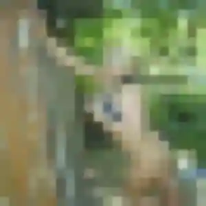 Photo exclusive de Celeste, 25 ans à Ensisheim - plan discret
