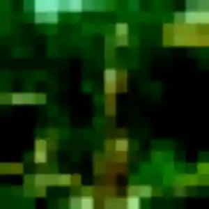 Sexy Manel, 25 ans à Épieds-en-Beauce - voir sa photo