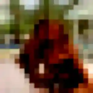 Photo privée de Nolwenn, 29 ans à Épouville - plan discret