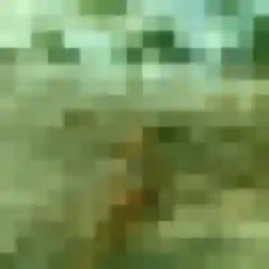 Alya, 39 ans, connectée à Eppeville pour une rencontre coquine