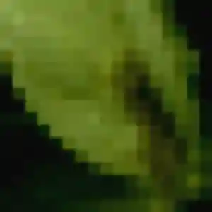 Prisca (39 ans) à Essé cherche une rencontre rapidement