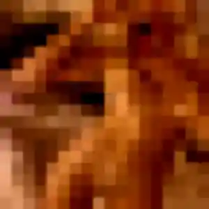 Lina, 28 ans, veut un plan cul à Étaimpuis