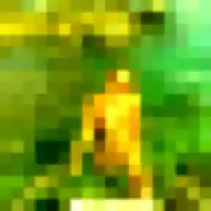 plan cul à Étoutteville : photo de Apolline, 35 ans - inscription gratuite