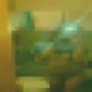 Rencontre Eden, 28 ans à Étrépagny en t'inscrivant