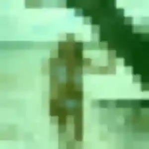 Eleonore (31 ans) à Eu attend un plan cul aujourd'hui