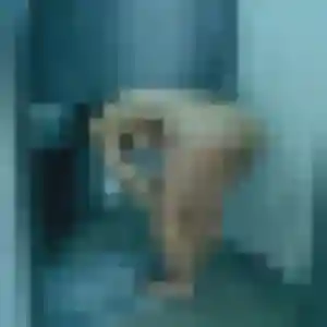 Photo perso de Eleonore, 32 ans à Évreux - plan discret