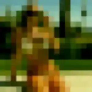 Eden de Évron, 35 ans - plan cul sans prise de tête