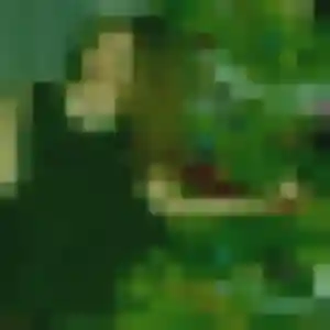 Daphne, 21 ans, en ligne à Falaise pour une rencontre coquine