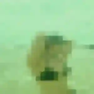 Photo de Meryem à Fatouville-Grestain (31 ans) - plan cul gratuit