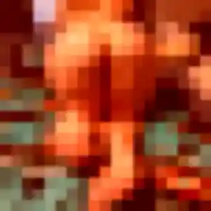 Profil de Romy à Fauverney (31 ans) - plan cul gratuit