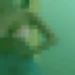Photo de Djenna à Favars (27 ans) - plan cul discret