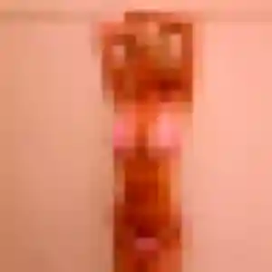 Photo de Nolwenn à Faverolles-sur-Cher (32 ans) - plan cul gratuit