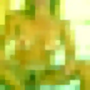 Jolie Perrine, 28 ans à Férin - découvrir son profil