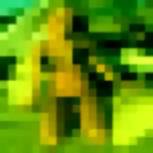 Albane, 30 ans, connectée à Flancourt-Crescy-en-Roumois pour une rencontre coquine