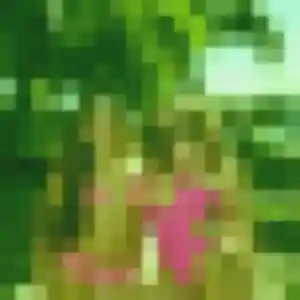 Armelle, 21 ans, dispo pour plan cul à Flancourt-Crescy-en-Roumois