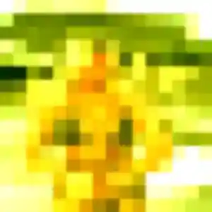 Jolie Eglantine, 39 ans à Flancourt-Crescy-en-Roumois - voir sa photo