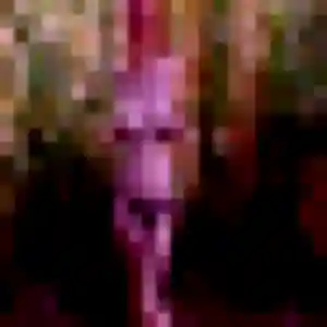 Charmante Ludivine, 36 ans à Flêtre - découvrir son profil