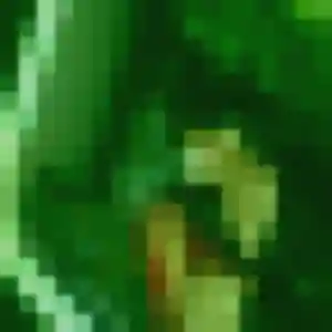 Jolie Felicite, 23 ans à Flocques - voir sa photo