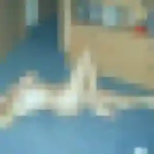 Emna, fille de 20 ans propose plan cul à Fontaine-Bellenger