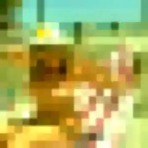 Lila de Fontenay-le-Fleury, 31 ans - plan cul sans lendemain