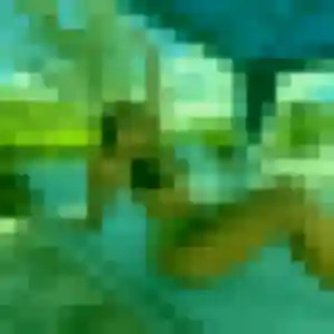 Nour, 24 ans, connectée à Fougères pour un plan cul