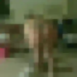 Alina, fille de 25 ans cherche plan cul à Francescas