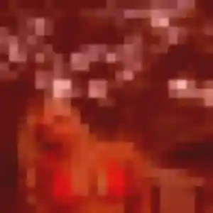 Amandine de Francueil, 23 ans - plan cul sans lendemain