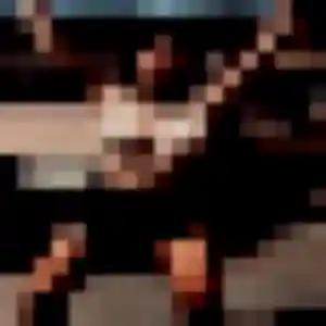 Armelle, femme de 28 ans cherche plan cul à Freneuse