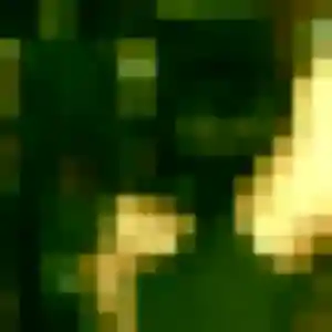 Belle Oceane, 30 ans à Fresnoy-Folny - voir sa photo