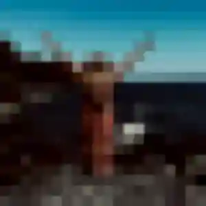 Anouk de Fresnoy-la-Rivière, 37 ans - plan cul sans lendemain