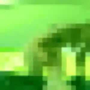 Sexy Lyana, 22 ans à Fressin - la contacter