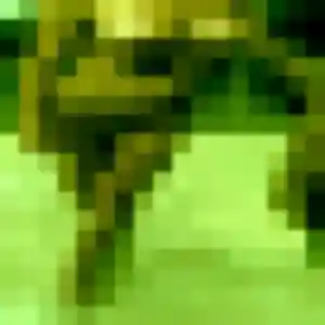 Soraya de Gacé, 33 ans - plan cul discret