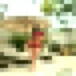 Photo perso de Eglantine, 29 ans à Gaillon-sur-Montcient - rencontre coquine