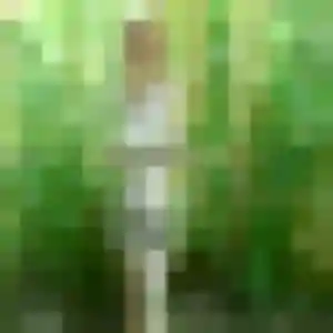 Ludivine de Gallardon, 35 ans - plan cul en toute liberté