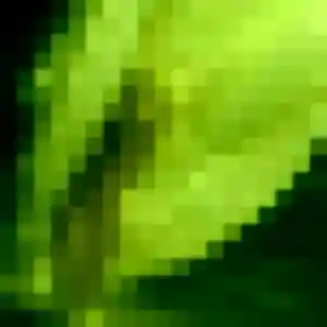 Justine, 21 ans, cherche un plan cul à Gamaches