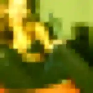 Nael, 38 ans, connectée à Gas pour une rencontre coquine