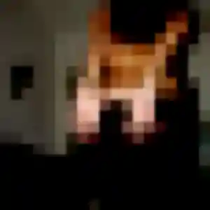 plan cul à Gas : profil de Yasmine, 29 ans - inscription gratuite